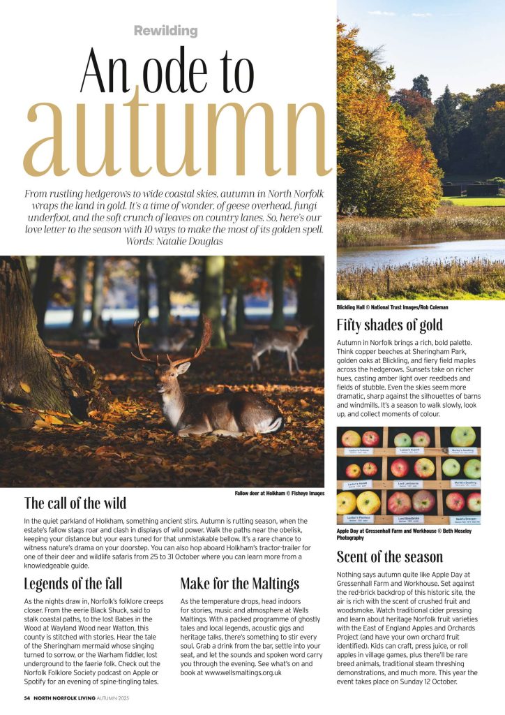 Autumn 2025